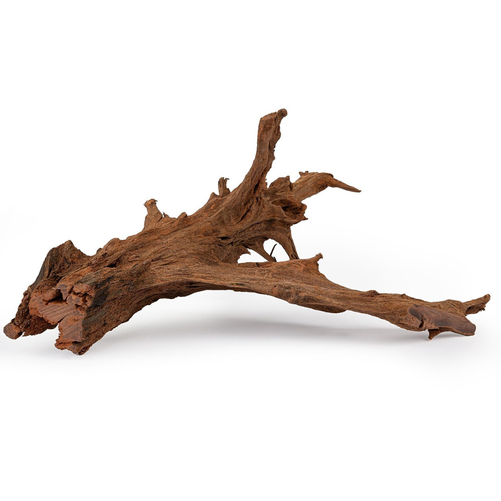 Happet Korzeń Mangrowca Mangrowiec L 40-60cm Ozdoba Naturalna